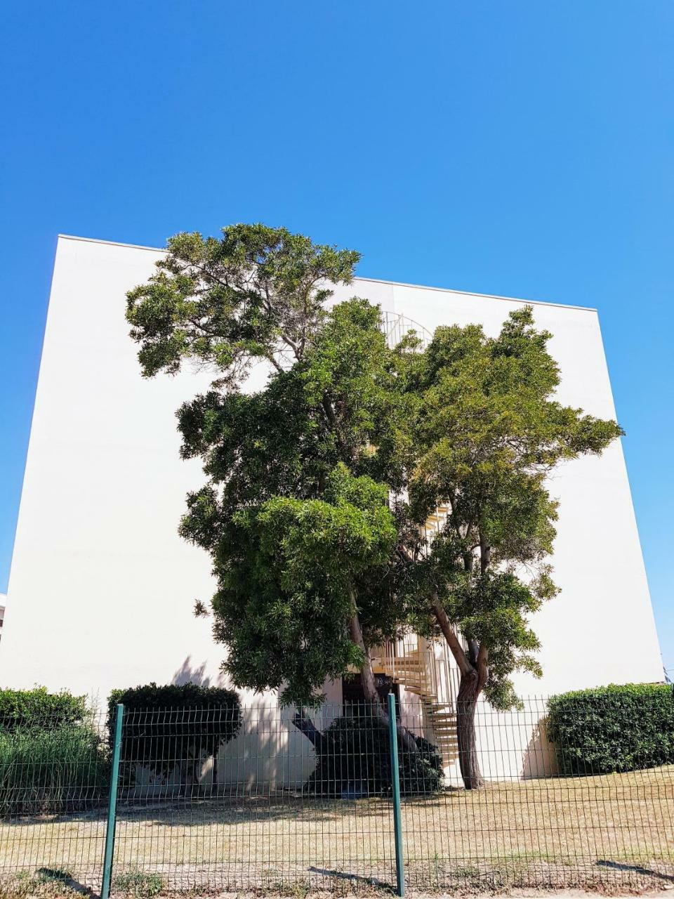 Studio Calme Avec Parking Et Ascenseur -304- Canet-en-Roussillon Eksteriør bilde
