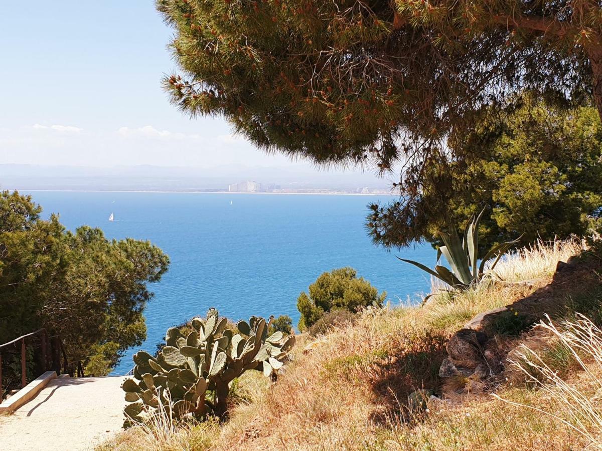 Studio Calme Avec Parking Et Ascenseur -304- Canet-en-Roussillon Eksteriør bilde