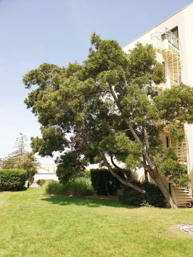 Studio Calme Avec Parking Et Ascenseur -304- Canet-en-Roussillon Eksteriør bilde