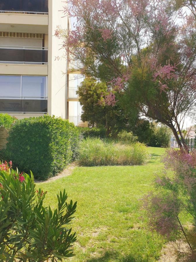 Studio Calme Avec Parking Et Ascenseur -304- Canet-en-Roussillon Eksteriør bilde